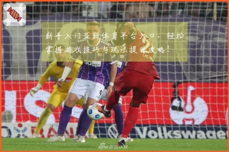 新手入门亚新体育平台入口，轻松掌握游戏技巧与玩法提升攻略！
