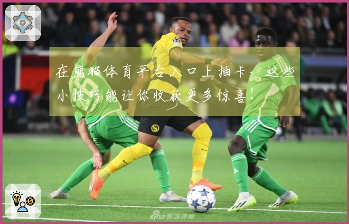 在熊猫体育平台入口上抽卡，这些小技巧能让你收获更多惊喜！