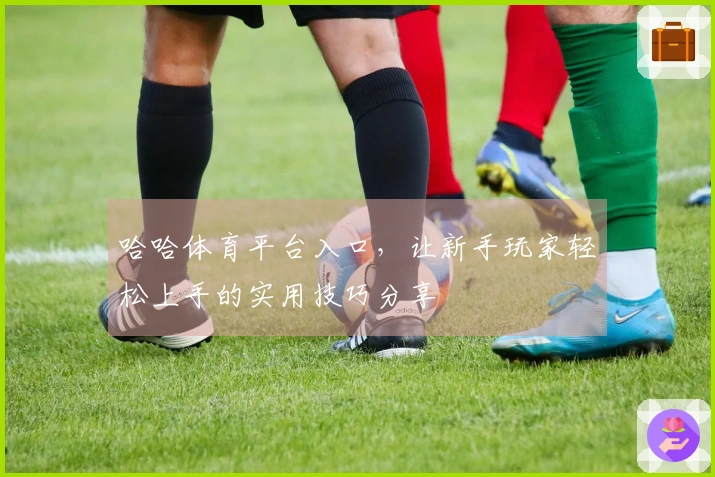 哈哈体育平台入口，让新手玩家轻松上手的实用技巧分享